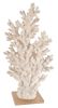 White Coral with Acrylic Base Tall